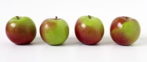 a bunch of macintosh apples